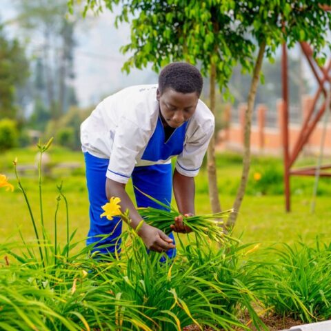 A woman at the University of Rwanda picks day lily greens