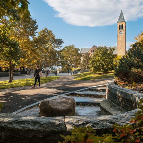 clock tower