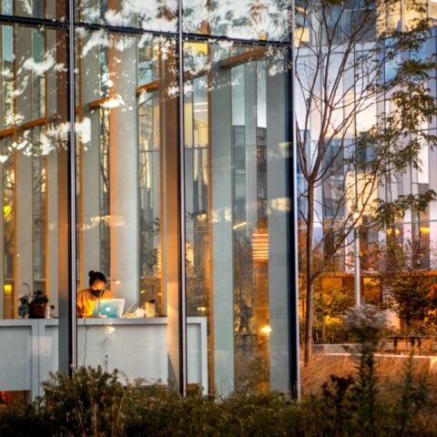 View through a wall of windows of woman working at computer in the early evening