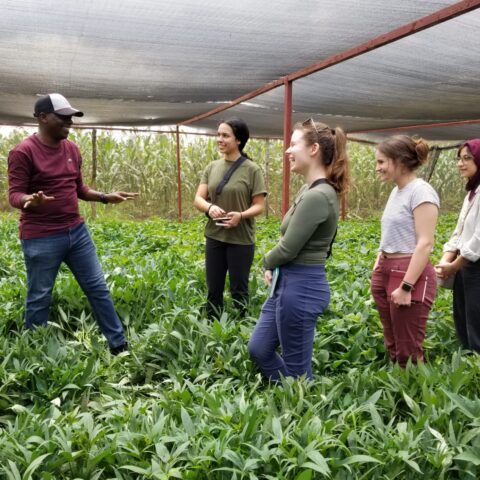 Students in agricultural field in Rwanda