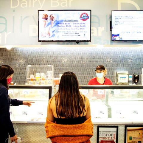 Cornell Dairy Bar ice cream counter