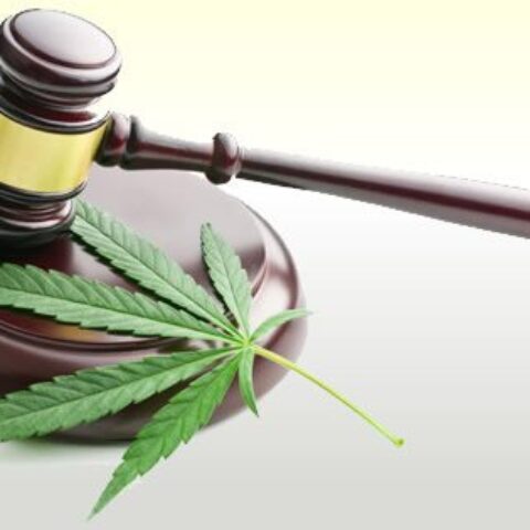 cannabis leaf on top of judges gavel